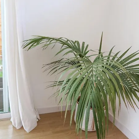 Casitas Tenerife - Papacho Loft 阿德耶